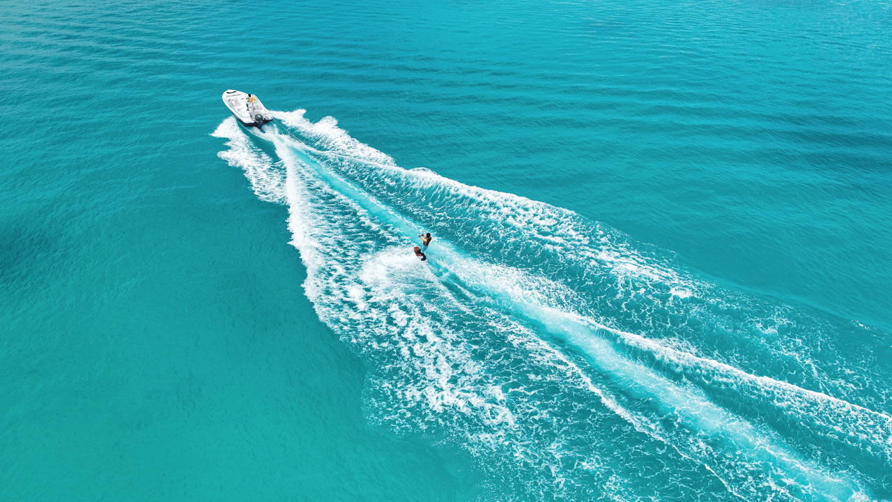 Aquatic Marvels in the Maldives