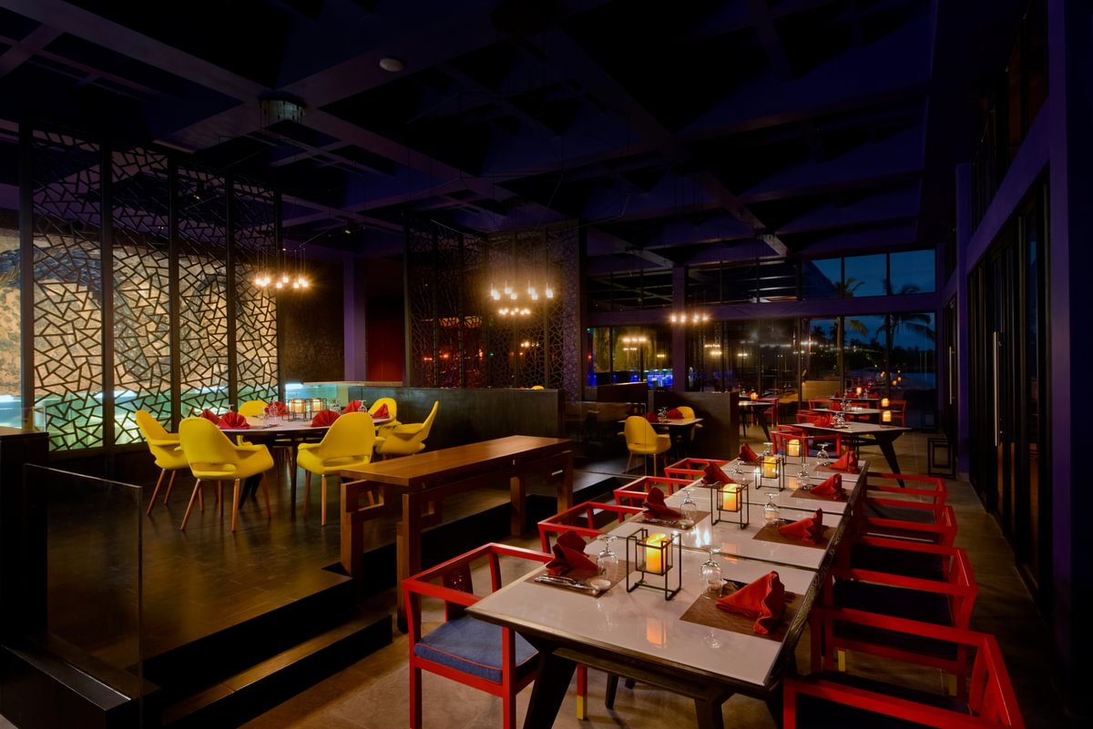 Kandima Sea Dragon Medium