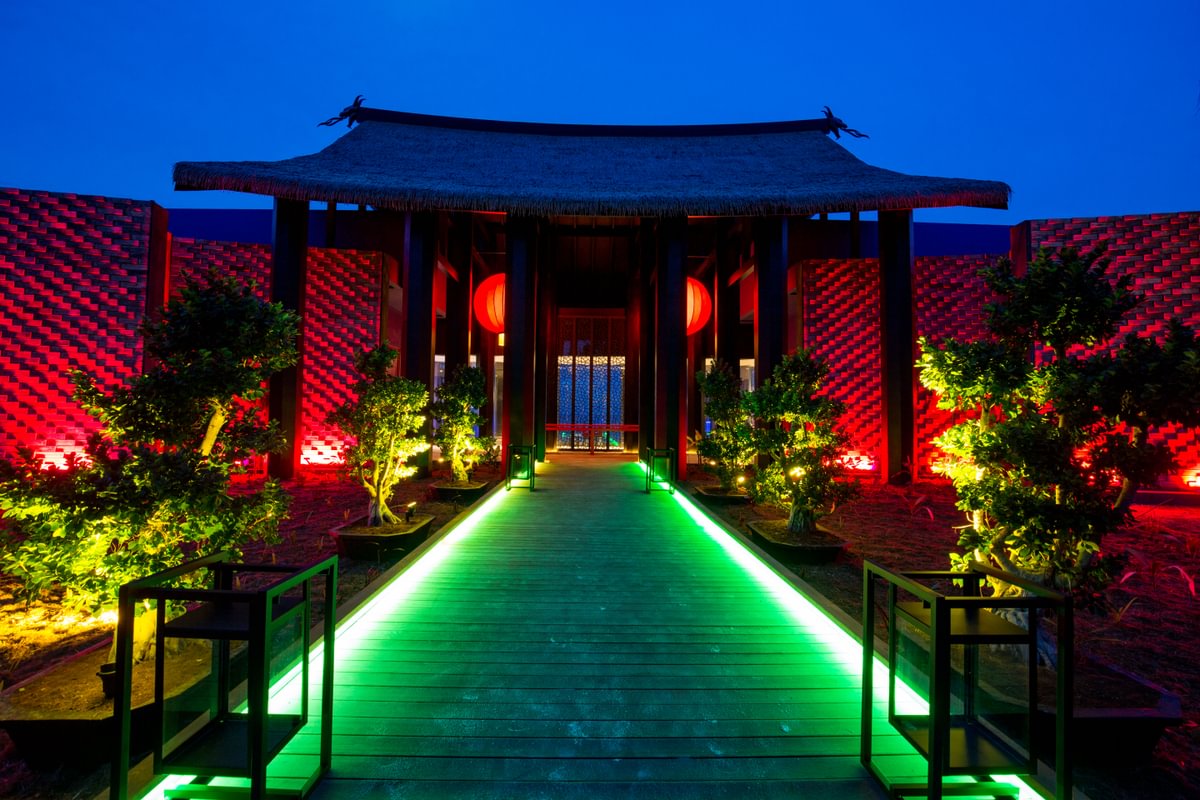 Kandima Sea Dragon Medium 1