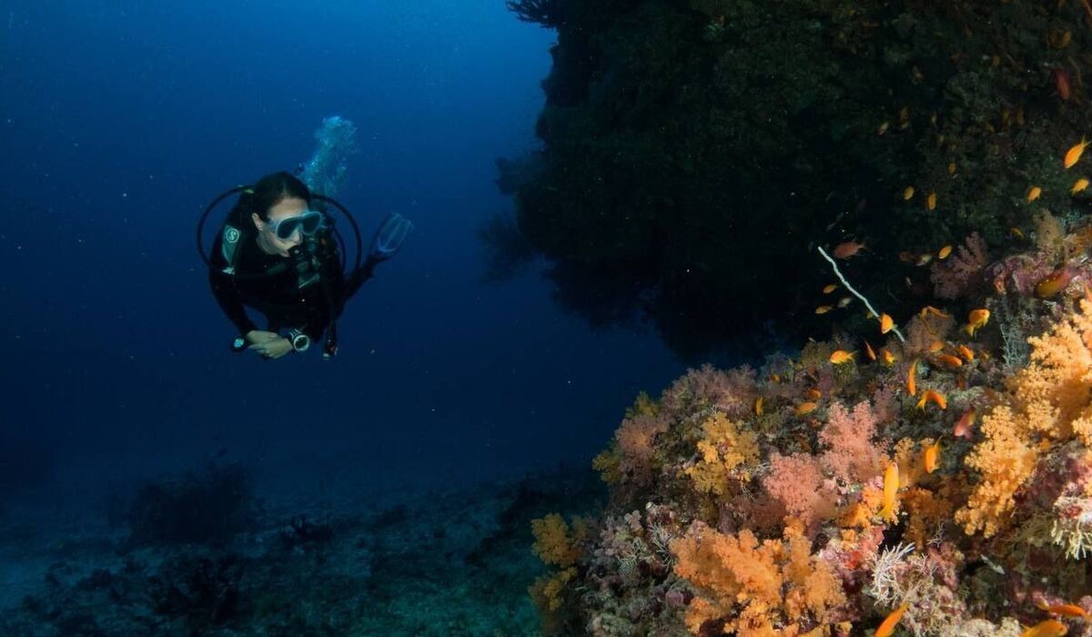 Diver near the reef