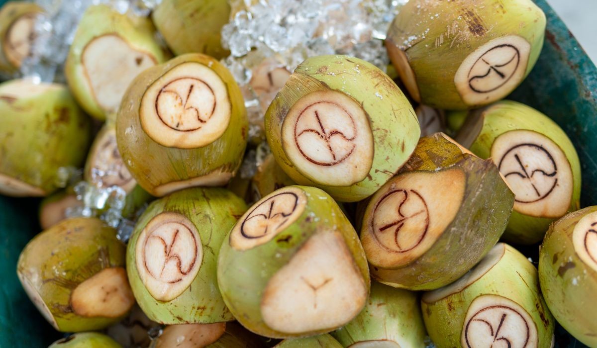Branded coconuts at Kandima Maldives