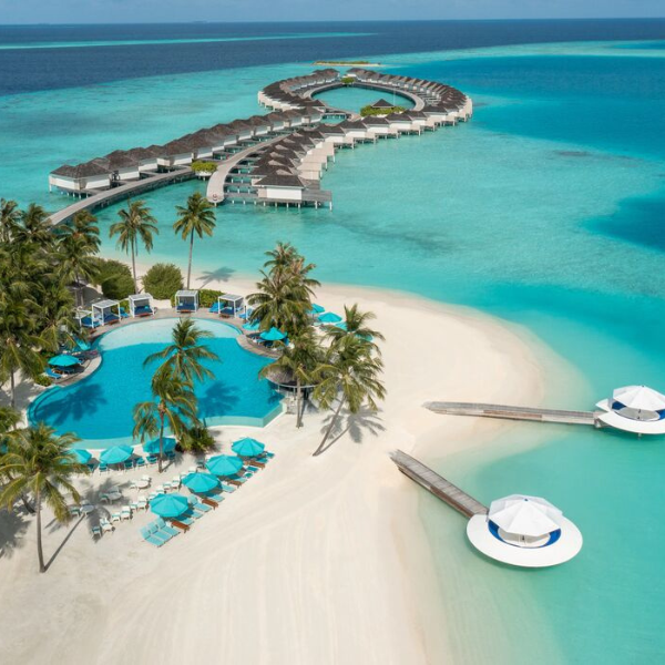 Black Friday Bash – Up to 55% Off!