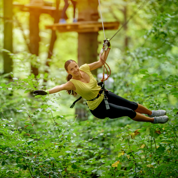Zip-line with high rope course