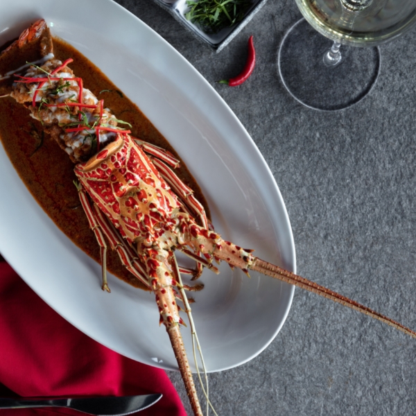 4-Course Chef's Special Lobster Set Dinner